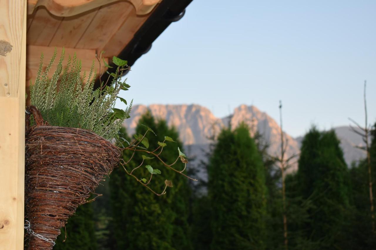 Fiedorowka Villa Zakopane Dış mekan fotoğraf