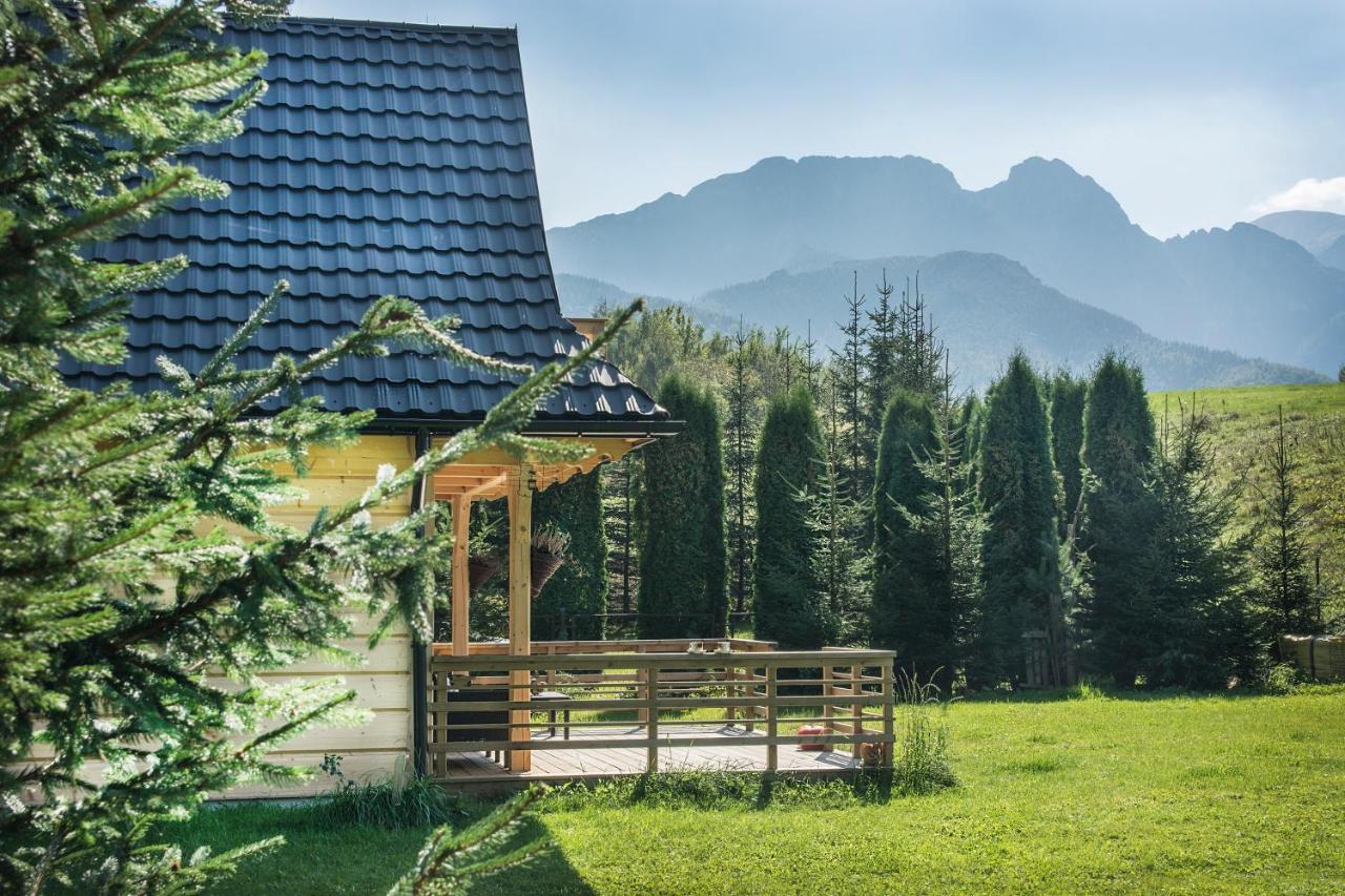 Fiedorowka Villa Zakopane Dış mekan fotoğraf