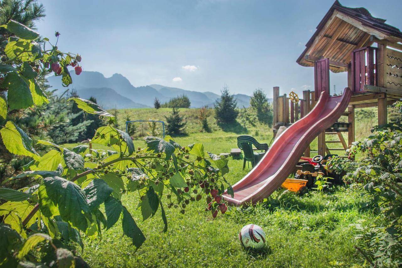 Fiedorowka Villa Zakopane Dış mekan fotoğraf