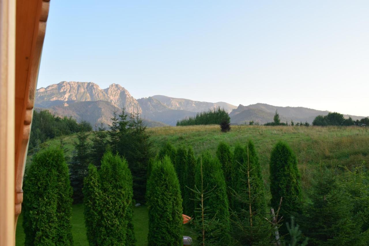 Fiedorowka Villa Zakopane Dış mekan fotoğraf