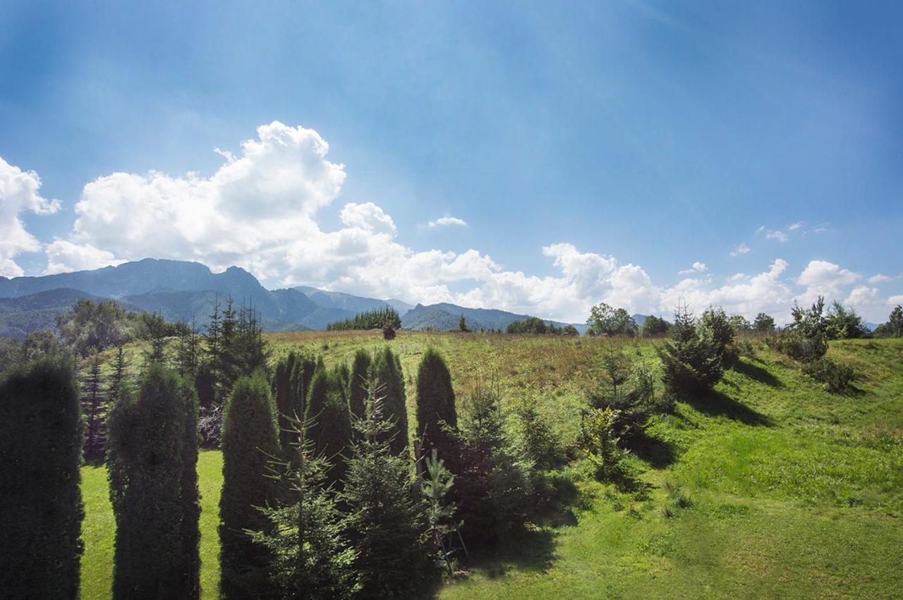 Fiedorowka Villa Zakopane Dış mekan fotoğraf